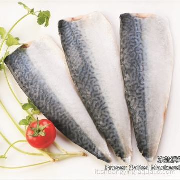 Filetto di mackerel di pesce surgelato per esportazione per acquirenti